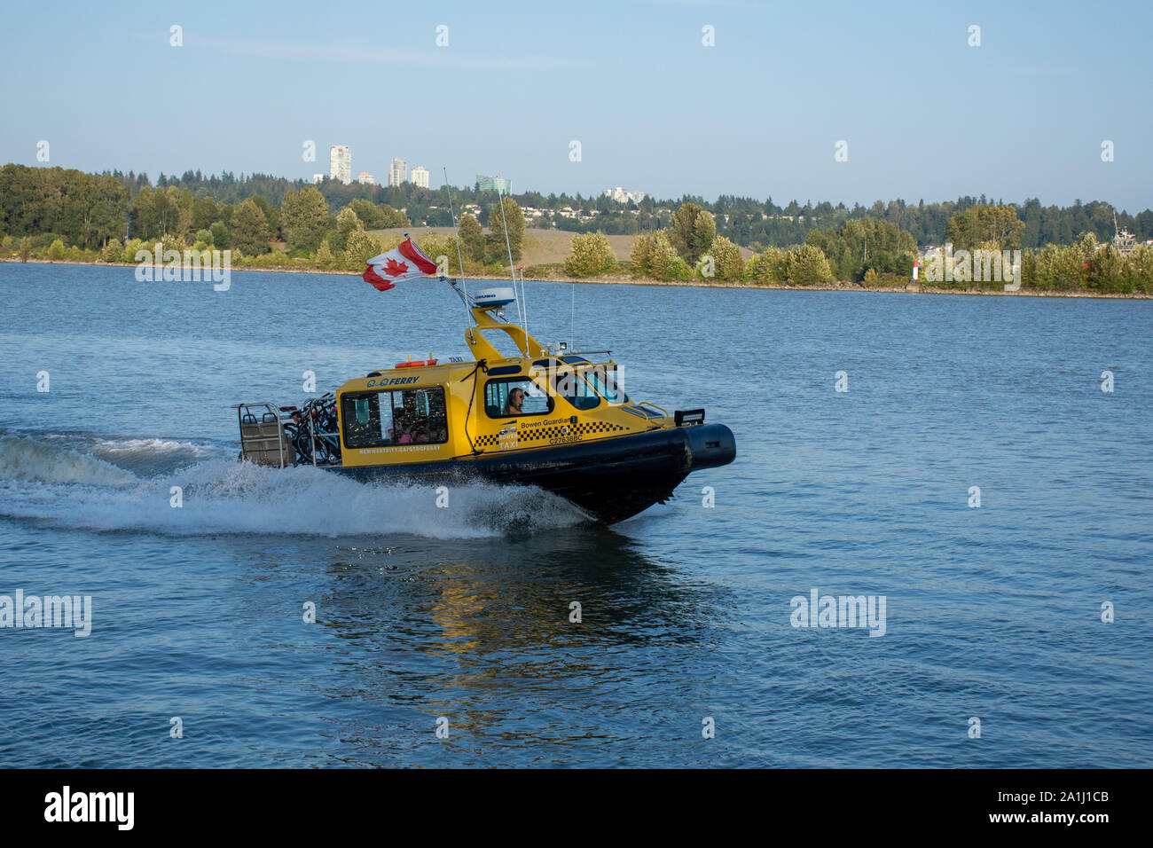 'New Westminster, British Columbia, Canada - 8/3/2019: presso il Nuovo Molo di Westminster, un taxi giallo traghetto veloce motoscafo viaggia dalla banchina del molo a Queensbour Foto Stock