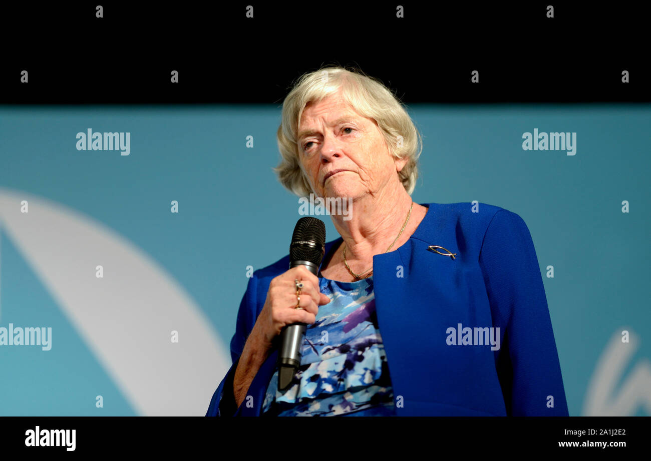 Ann Widdecombe MEP parlando a un partito Brexit al rally Kent Event Center nel suo ex circoscrizione parlamentare di Maidstone, Kent, Regno Unito. 26 Se Foto Stock