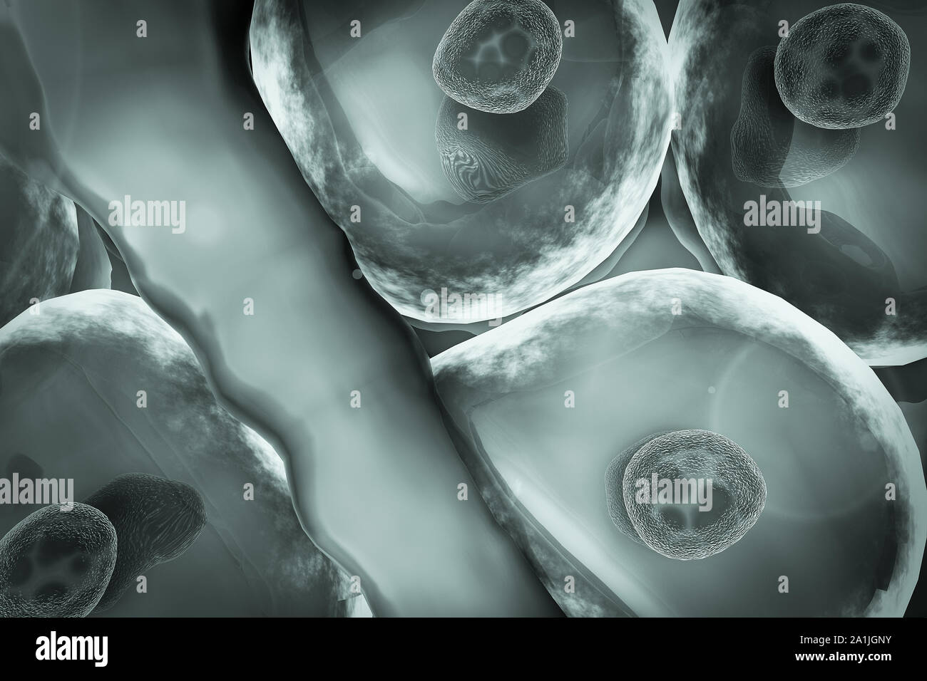 Cella, vena, cellula umana e, vena, il metabolismo, la cellula vivente, gruppo di celle Foto Stock