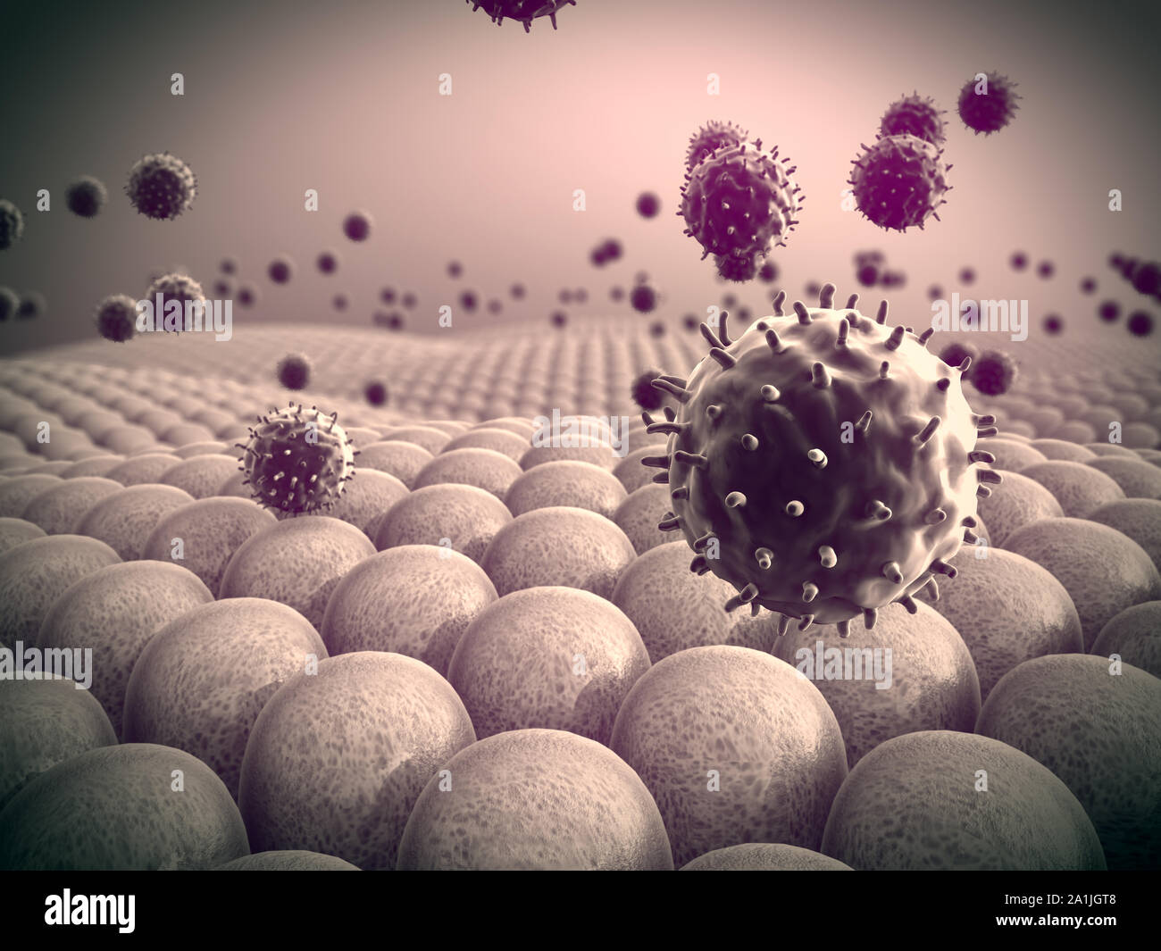 Campo di cellule, virus attaccano le cellule, azione del sistema immunitario umano Foto Stock