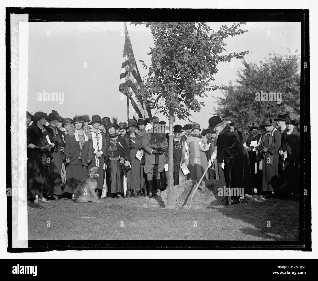 Natl. La guerra delle madri di Dist. albero impianto presso il Lincoln Memorial, 10/13/24 Foto Stock