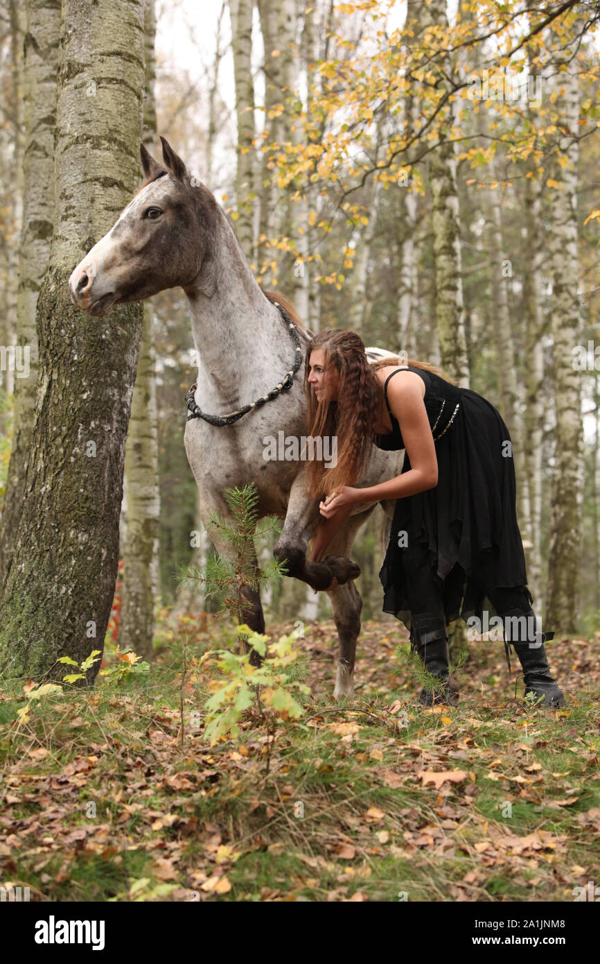 Bellissima ragazza con bel vestito in piedi accanto al bel cavallo in autunno Foto Stock