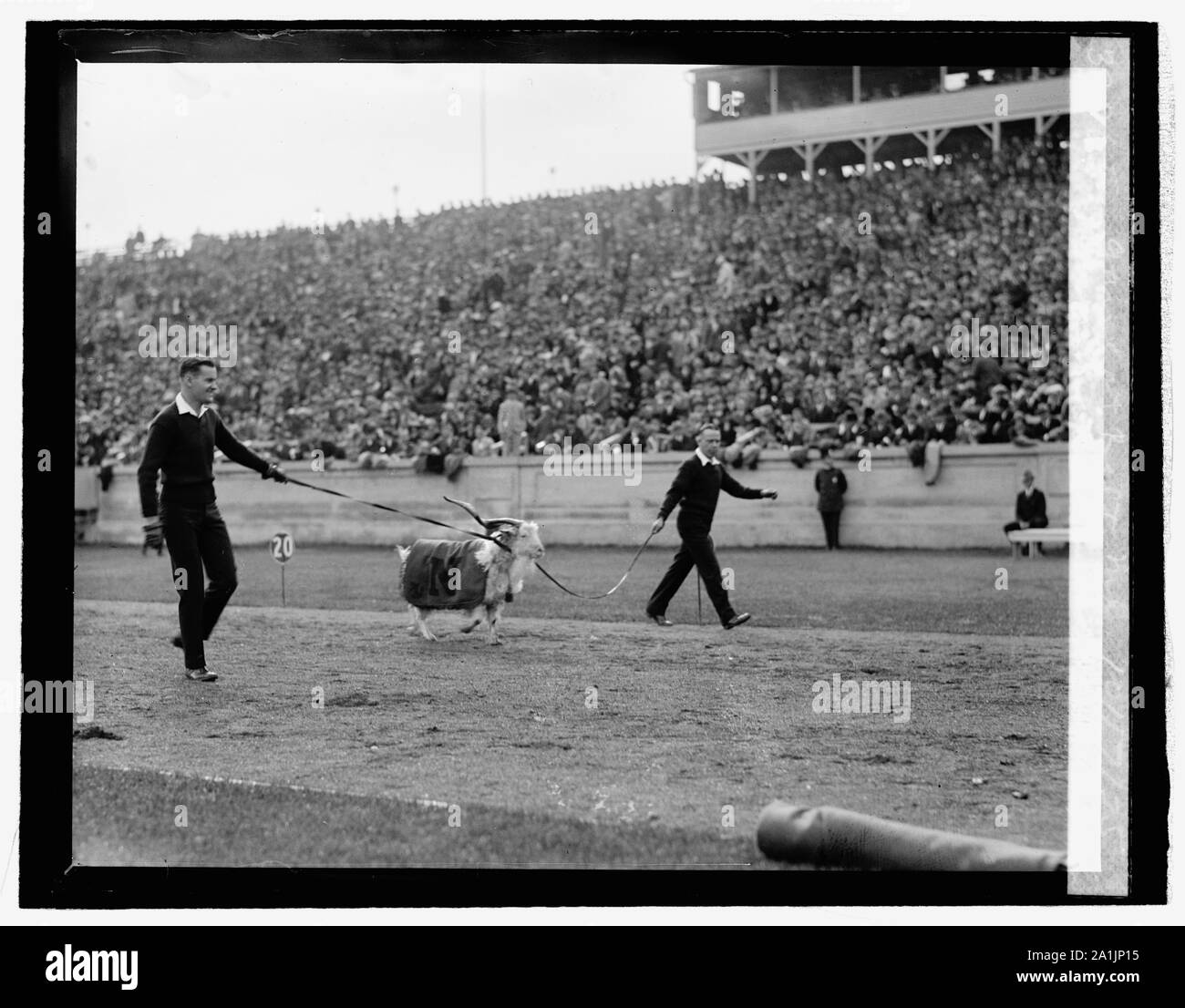 Navy mascotte, Navy - Gioco di Princeton a Balt. Md., 10/17/25 Foto Stock