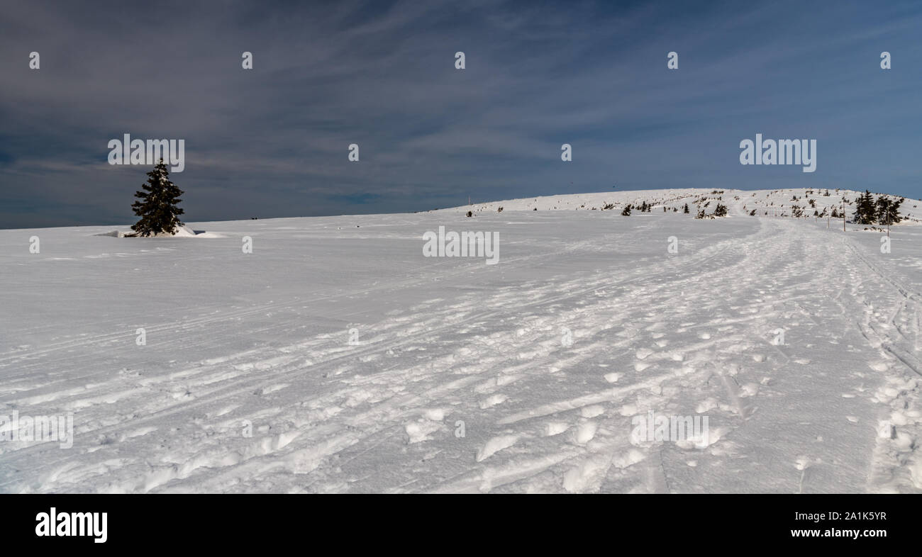 Inverno Jeseniky montagne soffietto foro Vysoka hill in Repubblica Ceca con foro Vysoka hill, torre di comunicazione su Praded, pochi alberi e snowkiters su Foto Stock