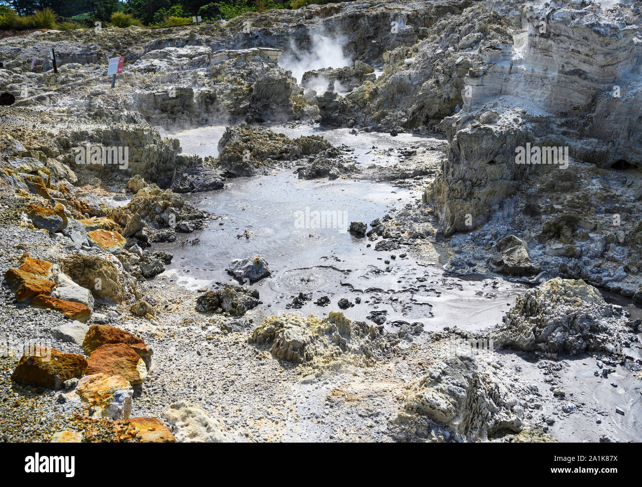 Tikitere, o "Hell's Gate' è un area geotermica e arrtaction turistica a Rotorua, Nuova Zelanda. Funzioni It, fumanti piscine di fango, fumarole e altro ancora. Foto Stock