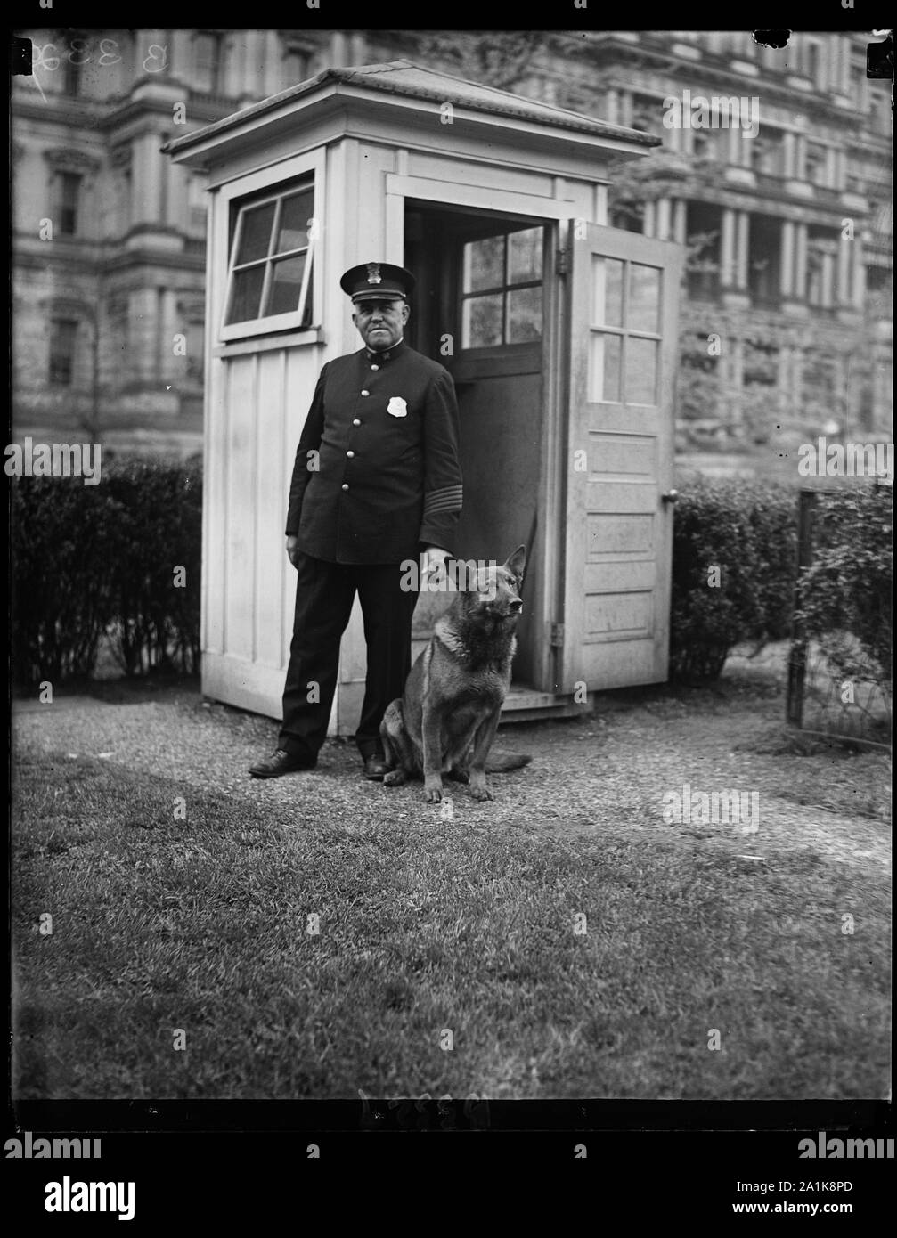 Nuovo White House sentry. King Tut, Presidente Hoover grande polizia tedesca cane, ora fa il giro della polizia caselle sentinella alla Casa Bianca motivi attraverso la notte. Egli è mostrato con W.S. Newton della Casa Bianca la polizia Foto Stock