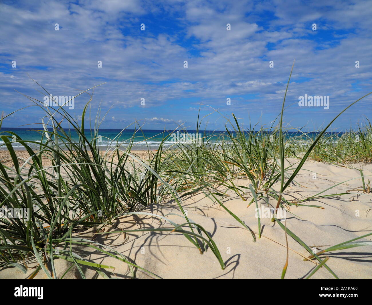 Grassy 75 Mile Beach L'Isola di Fraser Queensland Australia Foto Stock