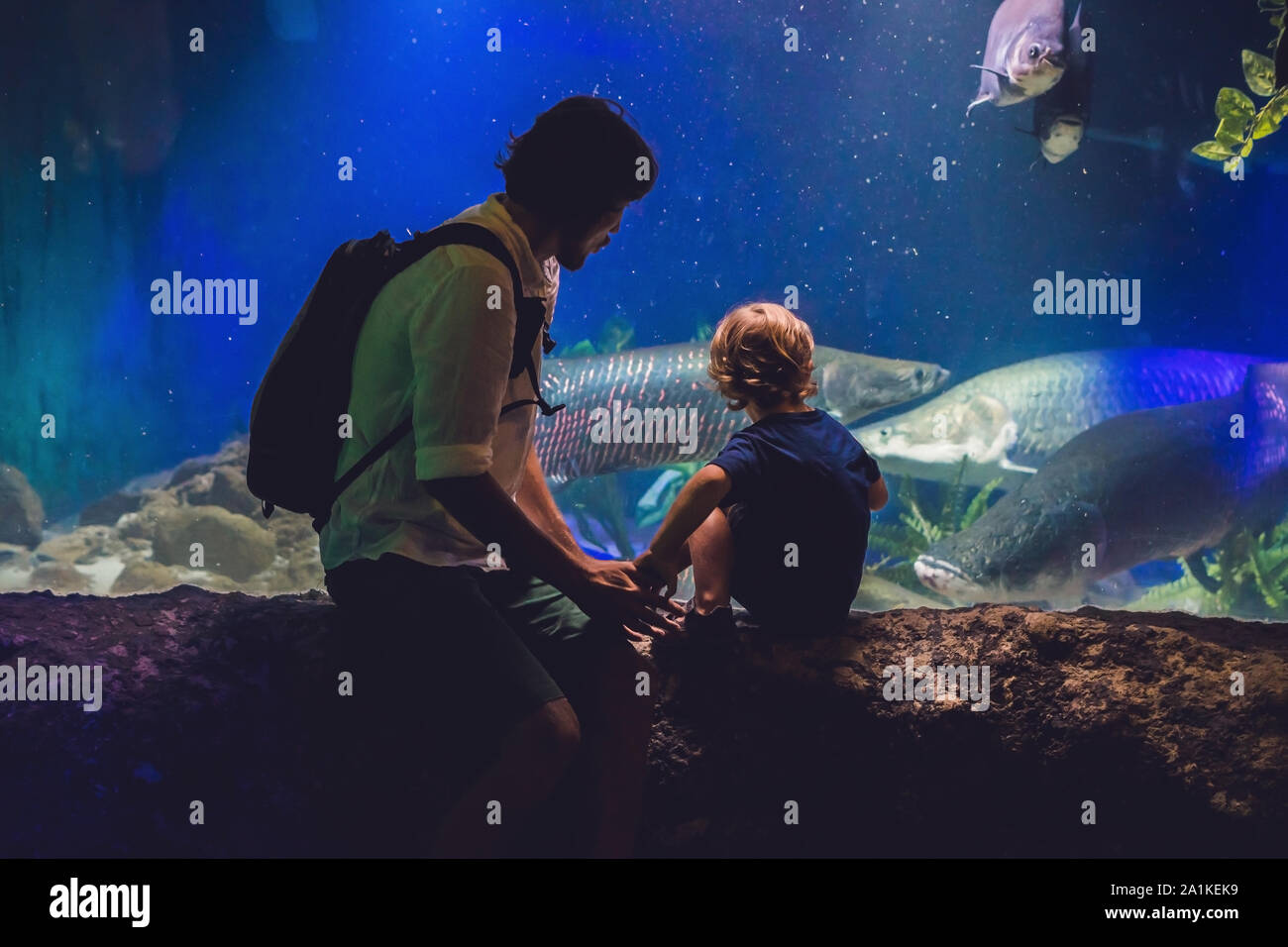 Padre e figlio guardare dei pesci in acquario in oceanarium Foto Stock