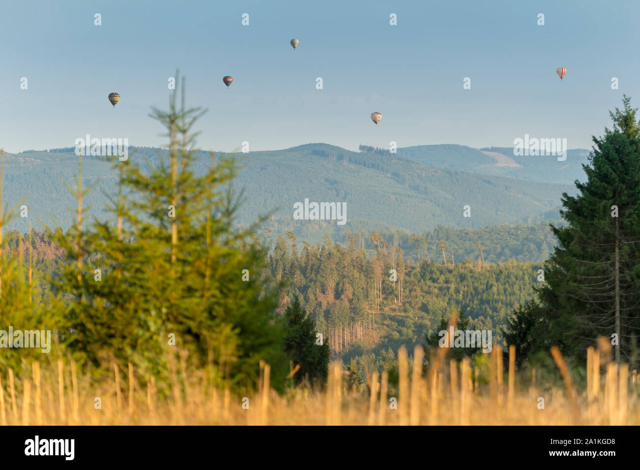 Colorate mongolfiere hover nel cielo blu. Tra i palloncini sono colline boscose. In primo piano sono le conifere. Messa a fuoco selettiva su palloncini. Foto Stock