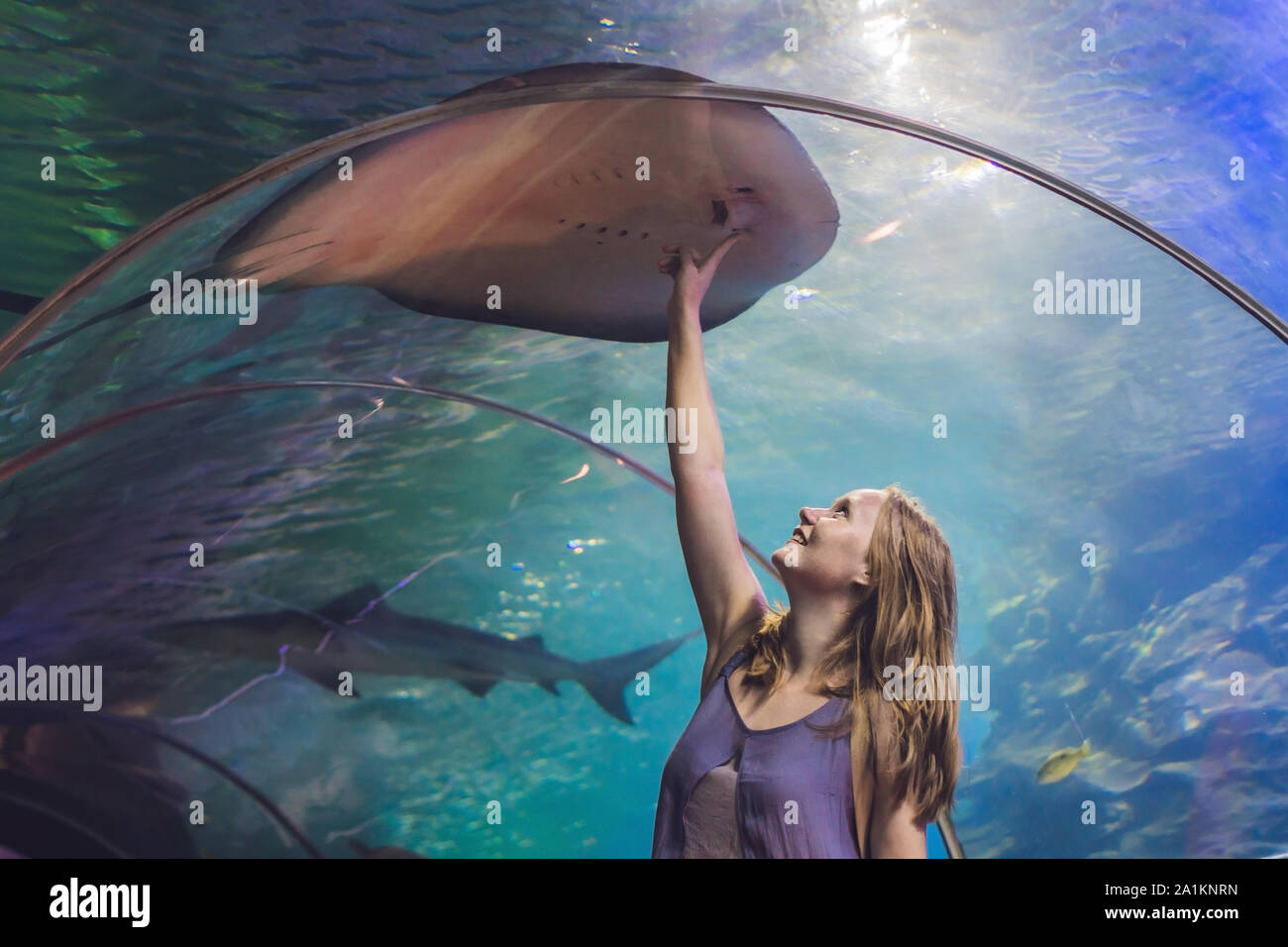 Una giovane donna tocca un pesce di razza in un tunnel oceanarium Foto Stock