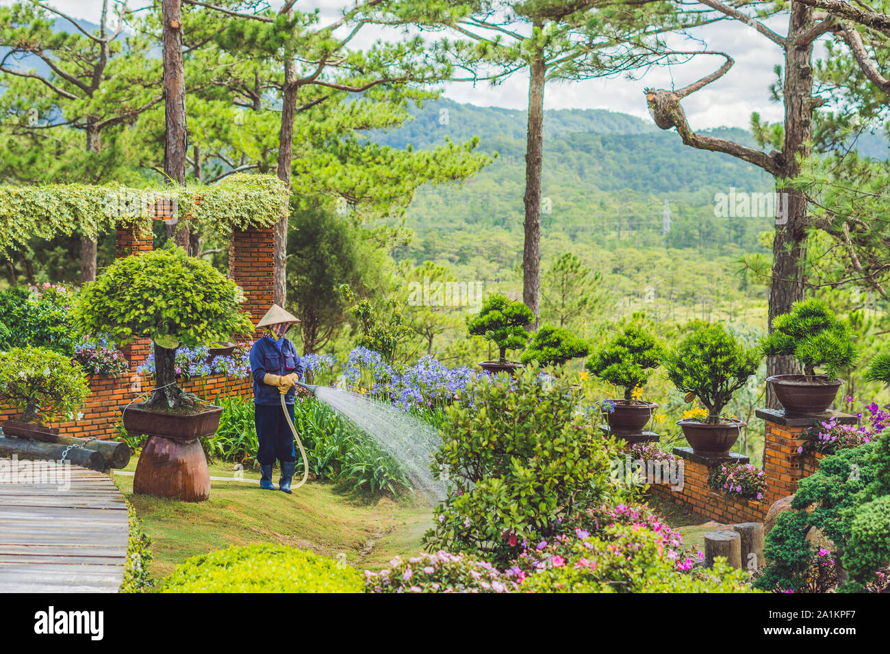 Donna vietnamita giardiniere irrigazione erba e piante nel parco Foto Stock