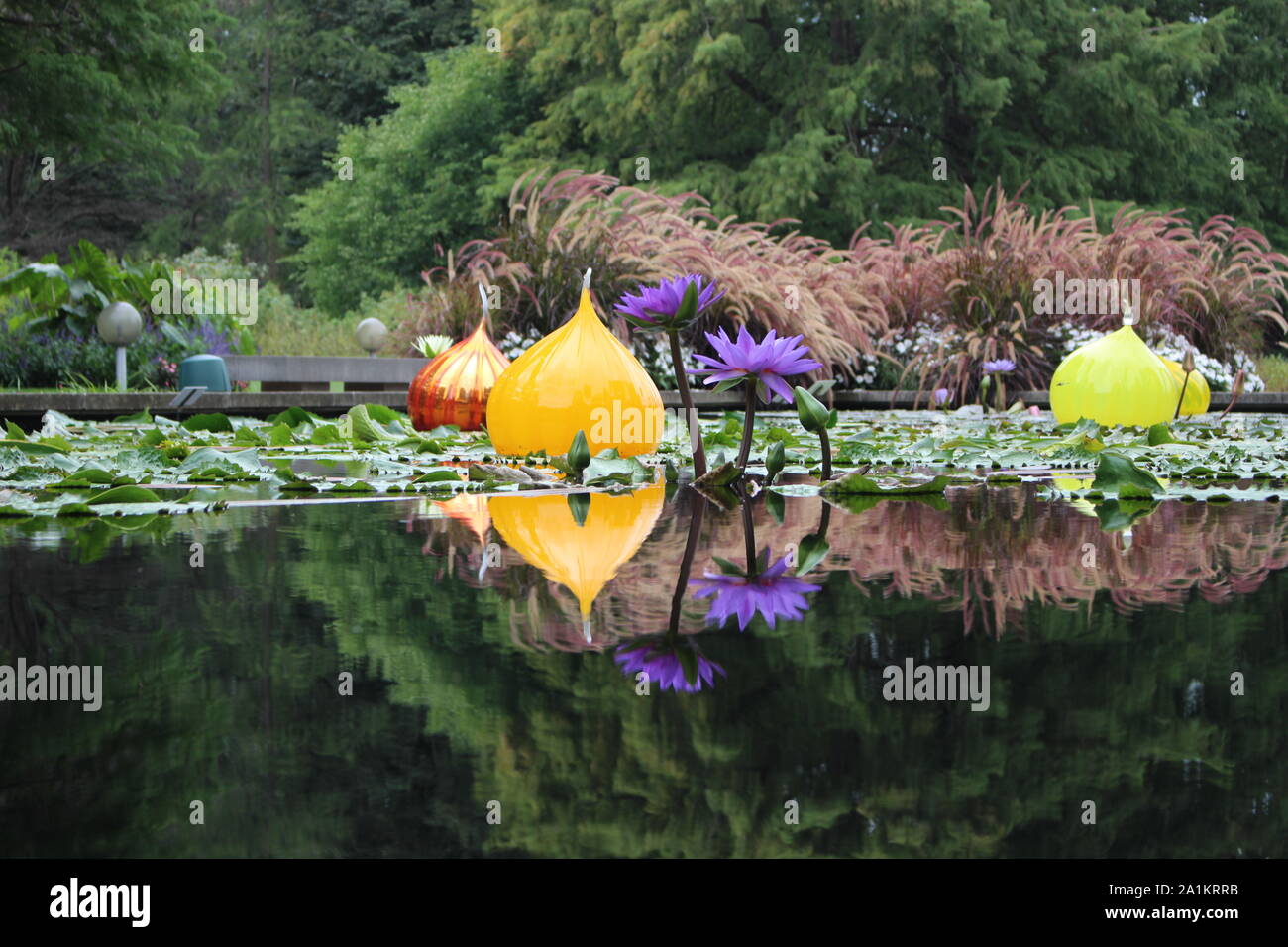 Lily, di fiori e di piante in acqua con decorazioni colorate Foto Stock