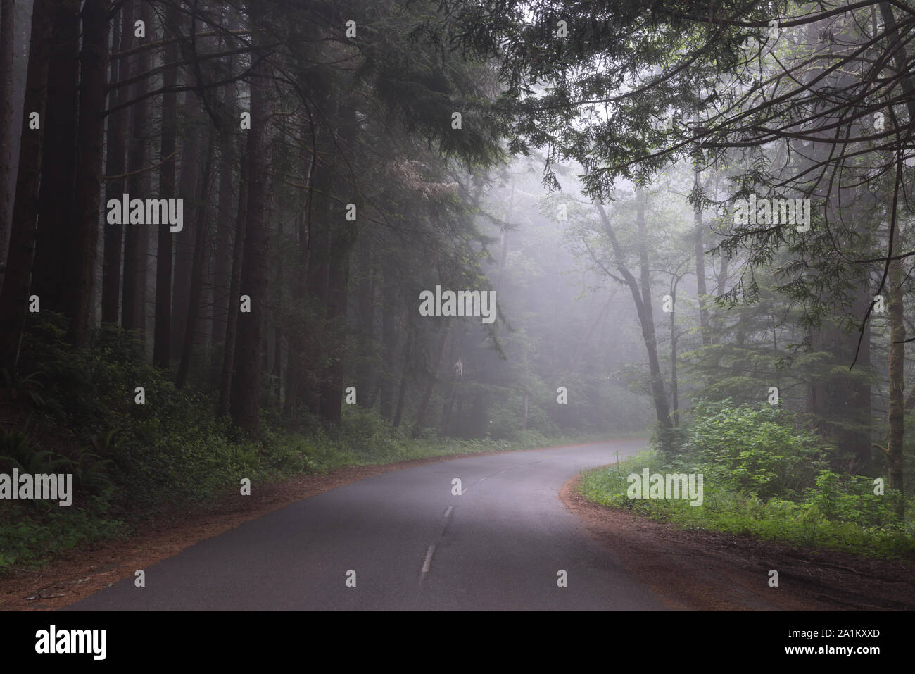 California settentrionale Foto Stock