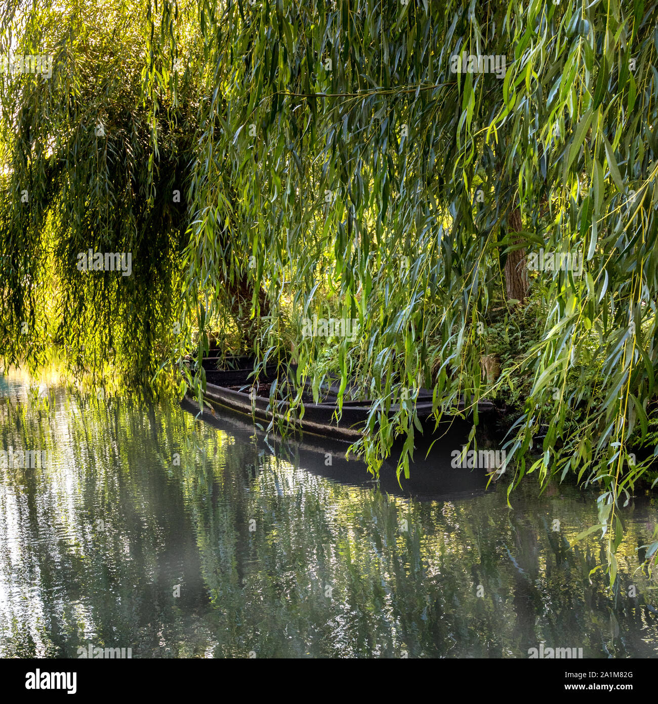Spreewald nascosto Kahn Foto Stock