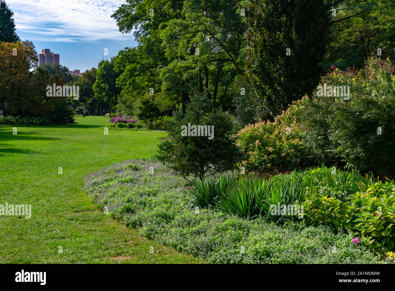 Giardino verde in un parco in Lincoln Park di Chicago Foto Stock