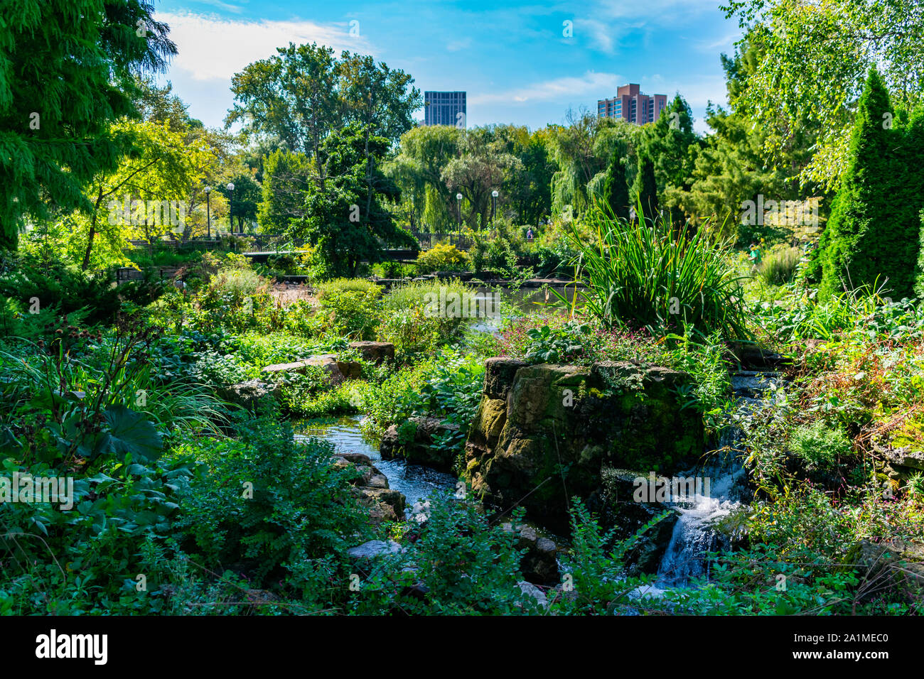 Estate verde scena con Bridge e acqua presso il Lincoln Park Zoo di Chicago Foto Stock