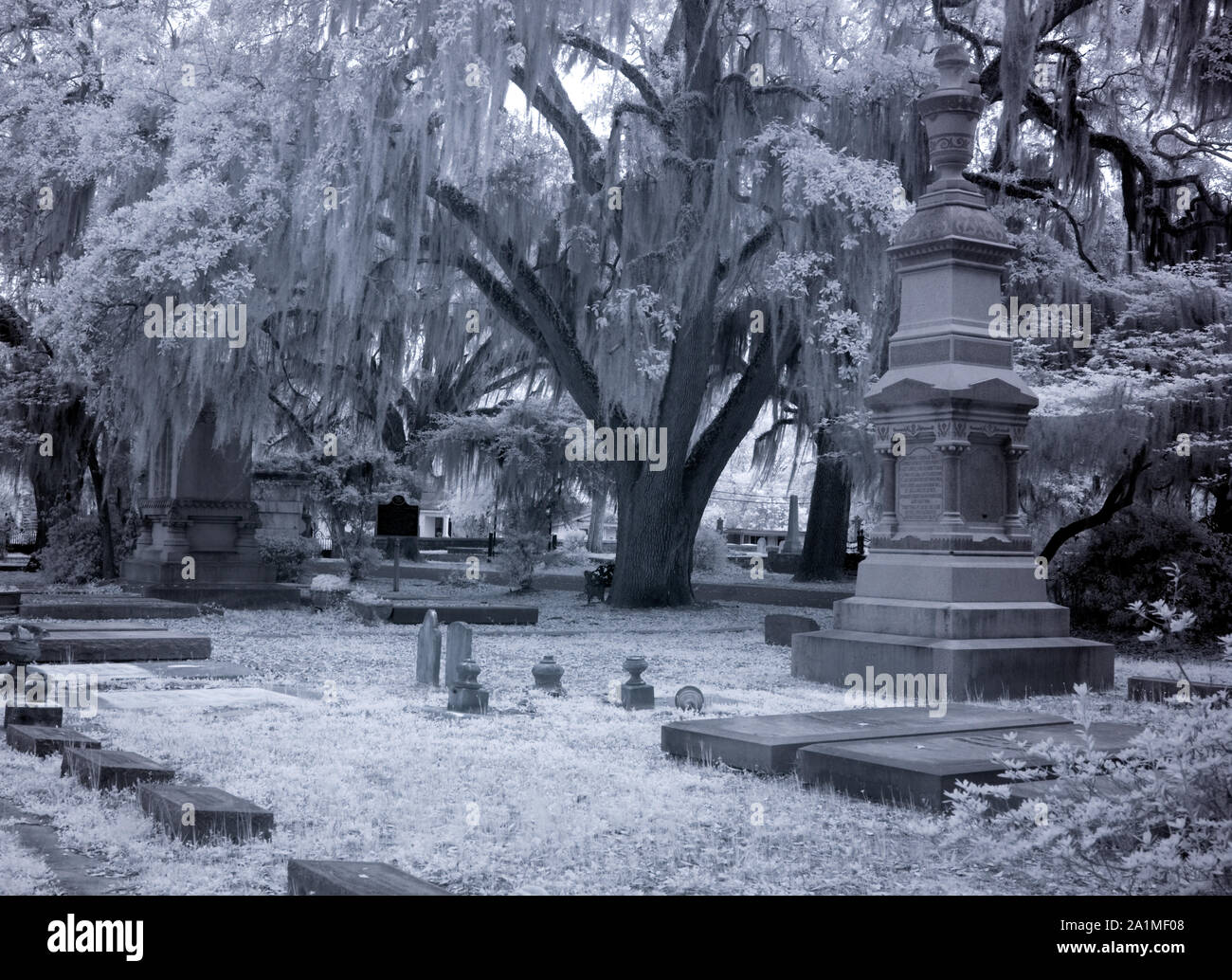 Vecchio Live Oak cimitero, Selma, Alabama Foto Stock