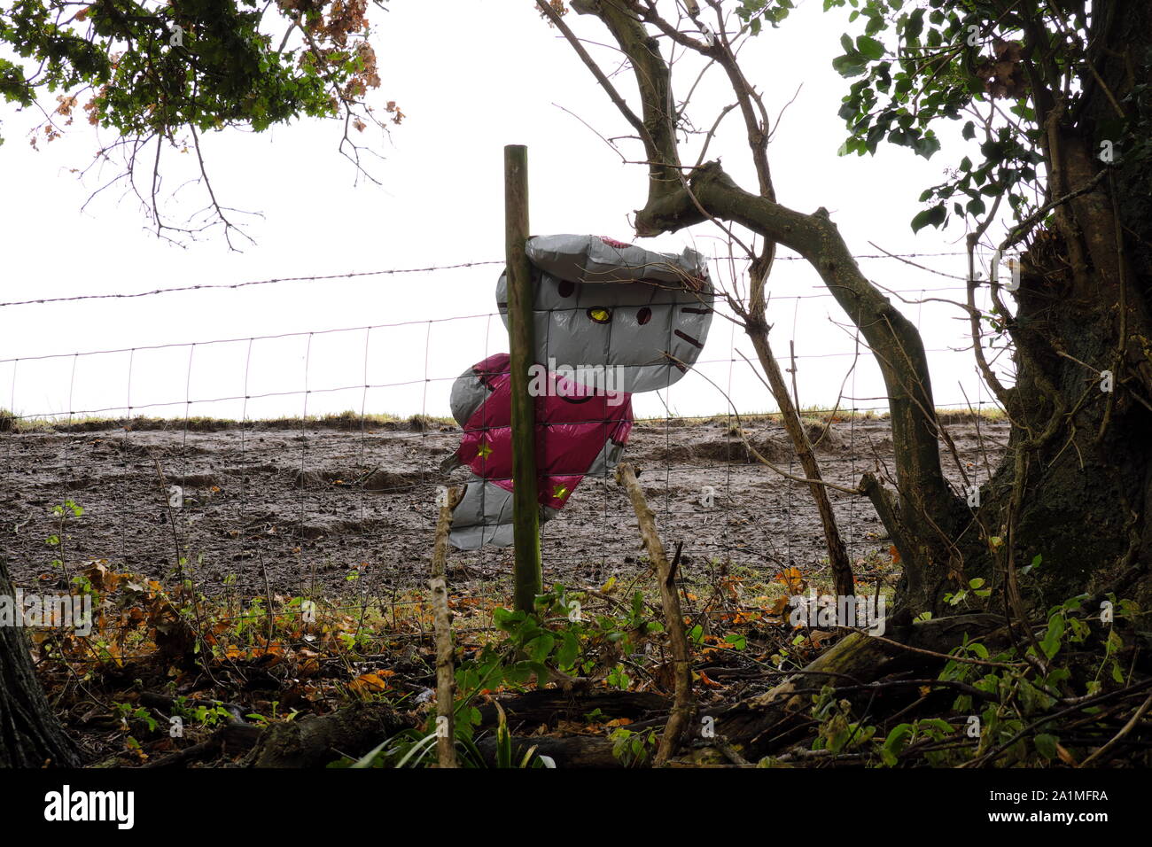 Il palloncino hello kitty immagini e fotografie stock ad alta risoluzione -  Alamy