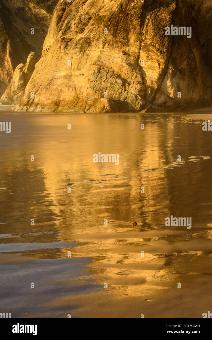 Abbraccio punto rocce e riflessi nella marea vicino al tramonto, abbraccio punto membro Scenic Area, Oregon, Stati Uniti d'America Foto Stock