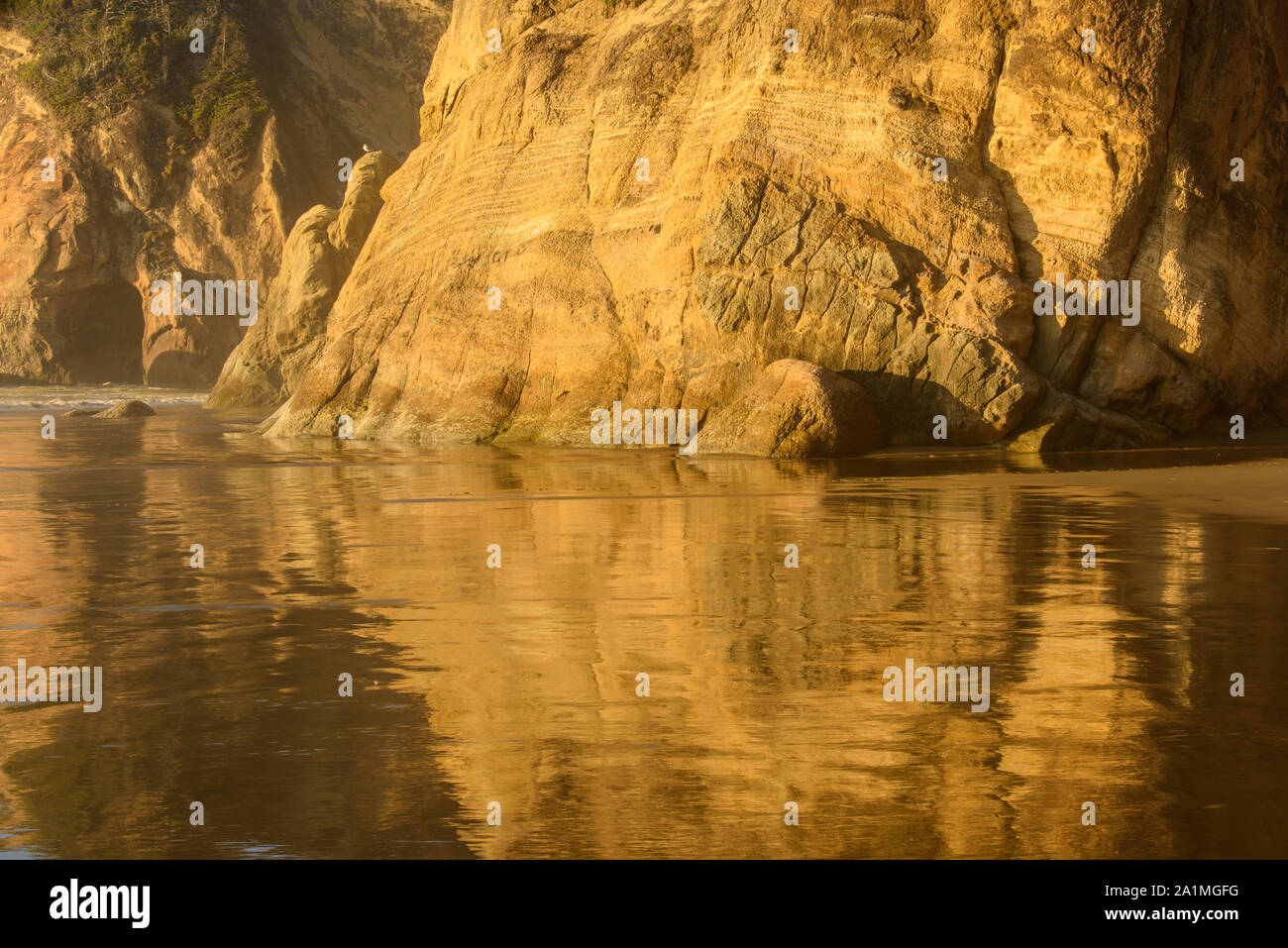 Abbraccio punto rocce e riflessi nella marea vicino al tramonto, abbraccio punto membro Scenic Area, Oregon, Stati Uniti d'America Foto Stock