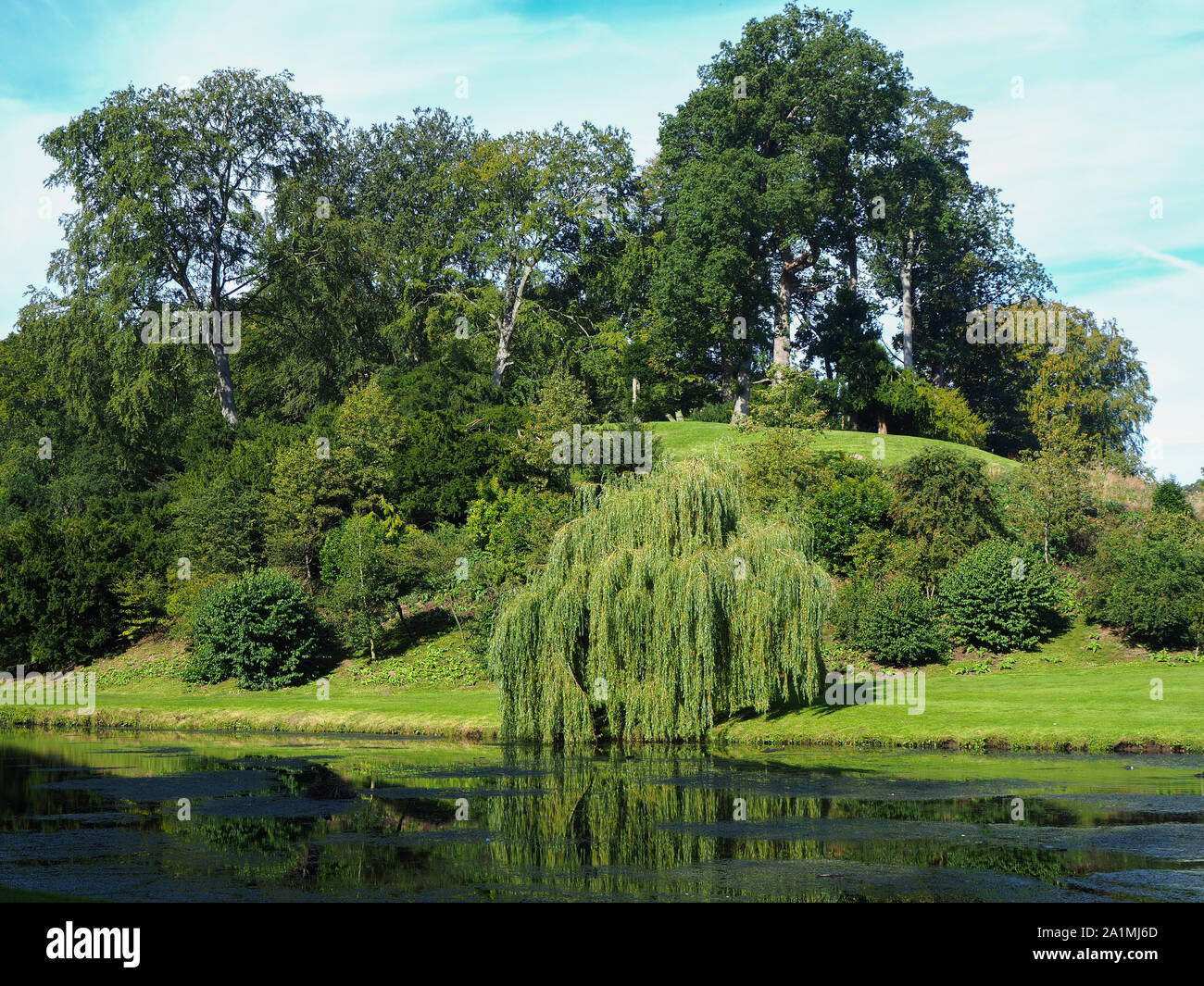 Salice piangente e altri alberi su una collina accanto a un lago in country Park in North Yorkshire, Inghilterra Foto Stock