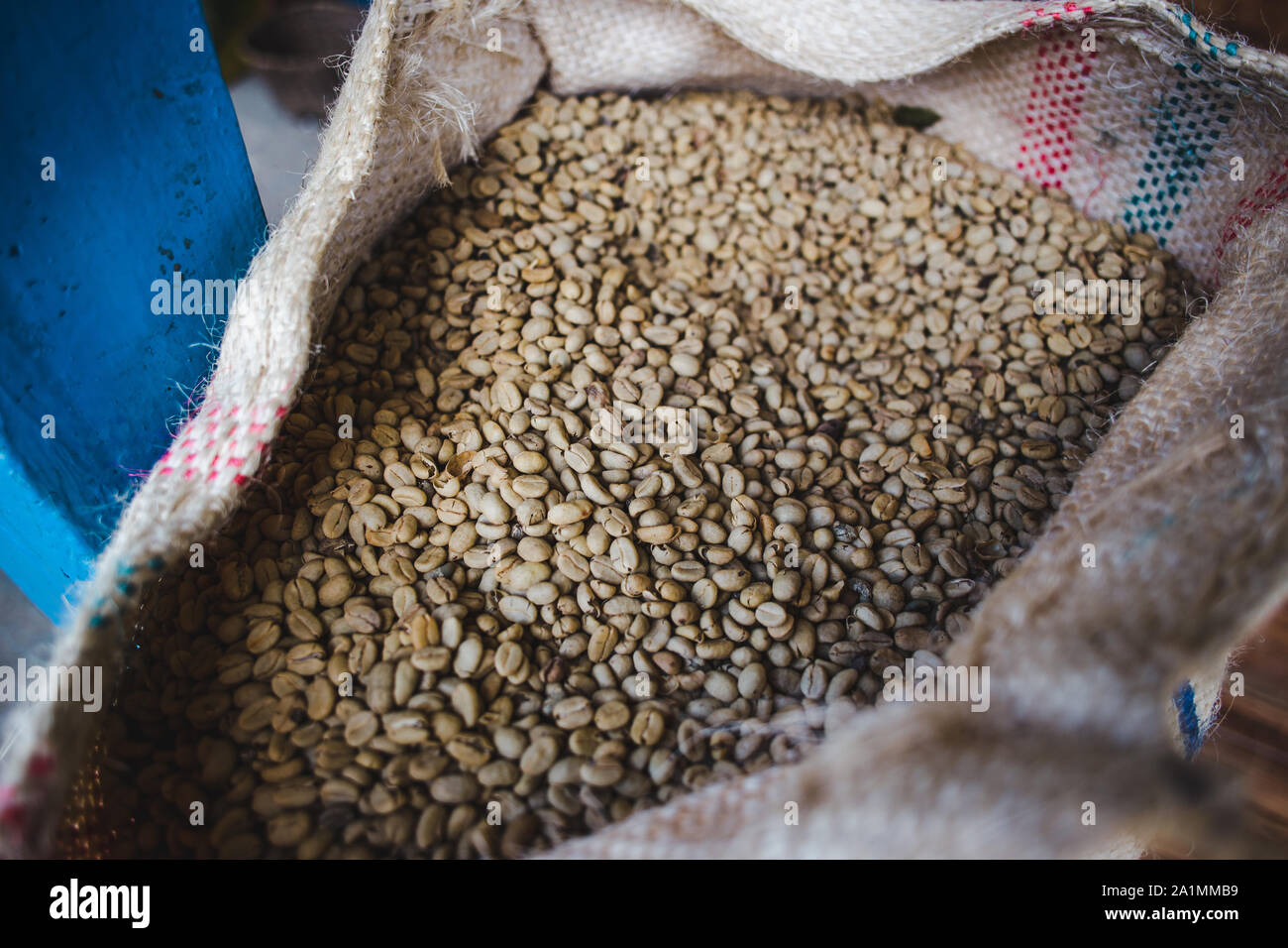 Sacchetto pieno di chicchi di caffè colombiani pronti per essere esportati da Quindío, Colombia Foto Stock
