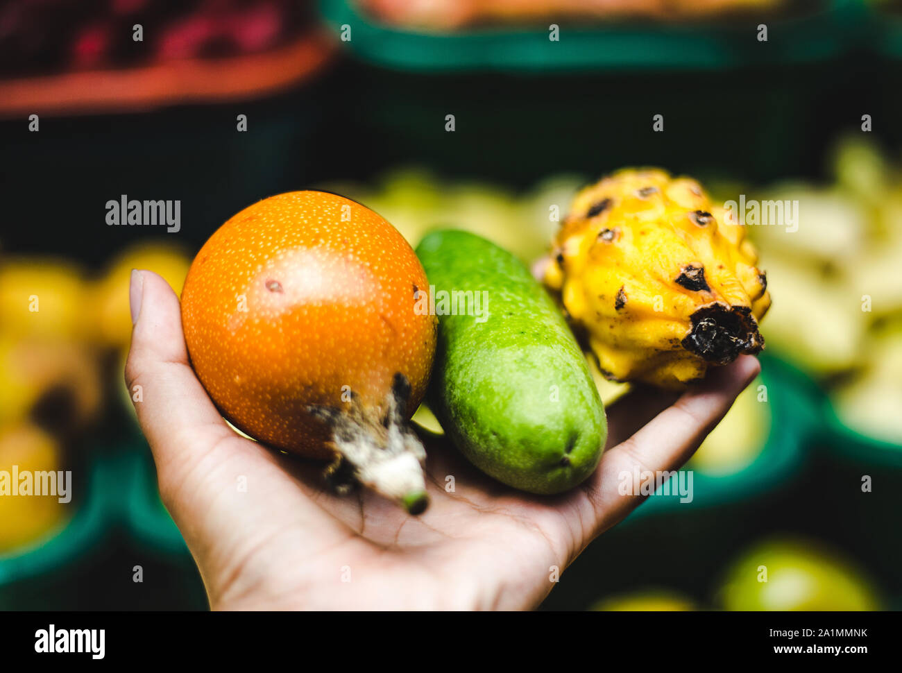 Mano trattiene fino Esotici frutti colombiano a un mercato alimentare di stallo | succosa Granadilla frutto della passione, Curuba e Pitaya dragon frutto Foto Stock