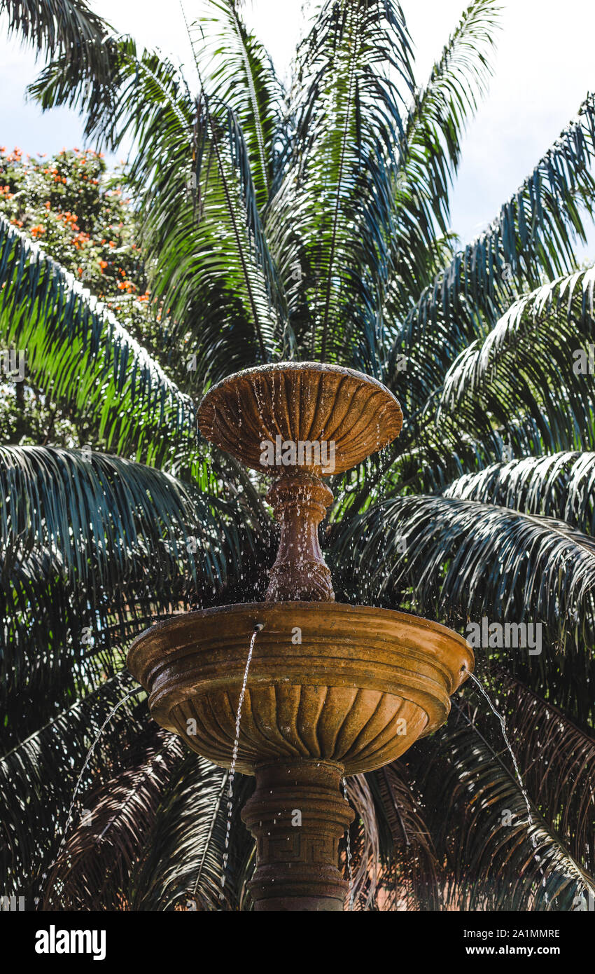 Grande fontana di pietra contro una lussureggiante foglia di palma sfondo in un parco pubblico in Colombia, Sud America Foto Stock