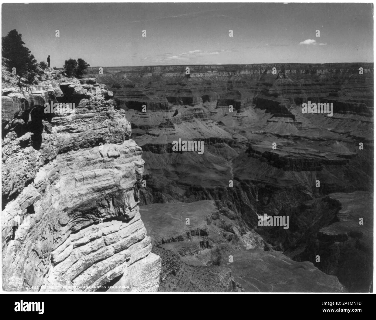 Su O'Neiles punto, Grand Canyon di Arizona Foto Stock