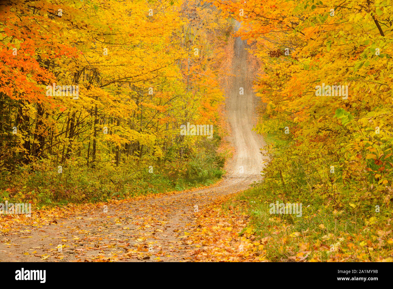 Burnett's sideroad in autunno, Sheguiandah, Manitoulin Island, Ontario, Canada Foto Stock