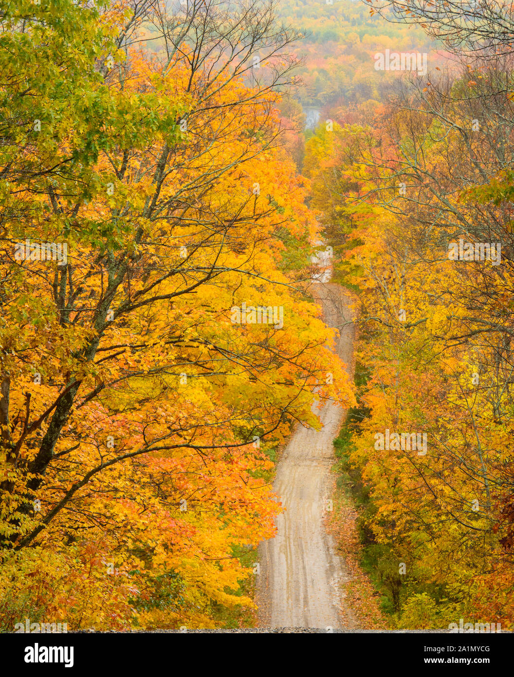 Burnett's sideroad in autunno, Sheguiandah, Manitoulin Island, Ontario, Canada Foto Stock