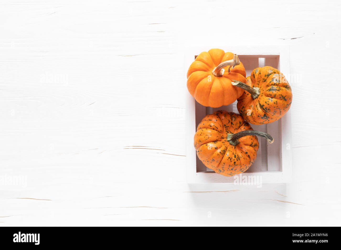 Piccole zucche decorative su bianco sullo sfondo di legno. In autunno, la caduta del Ringraziamento o di giorno di halloween concetto, piatto di laici che, vista dall'alto, spazio di copia Foto Stock