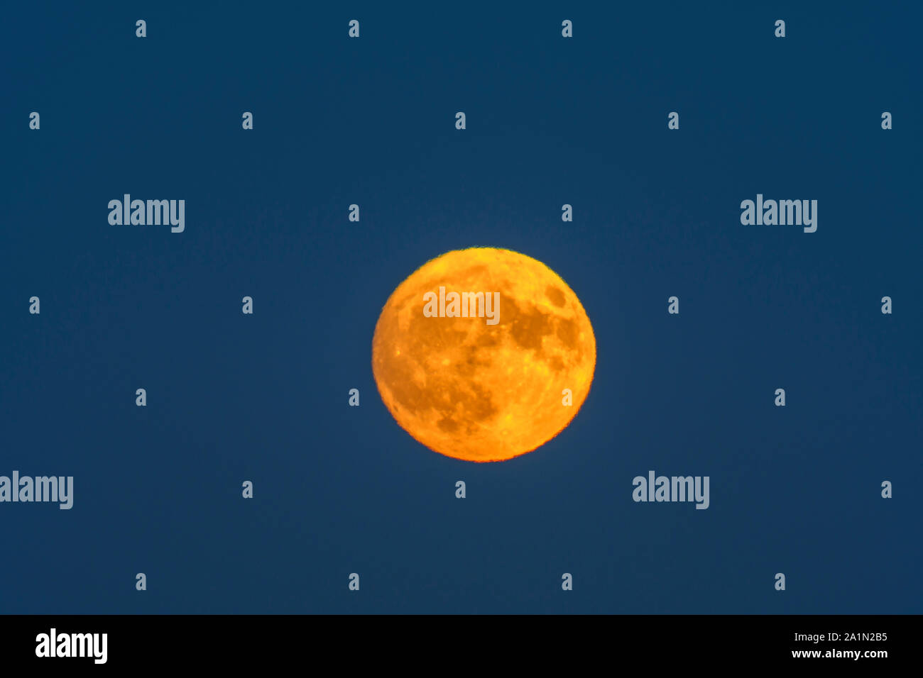 Novembre super luna sorge su Sudbury, Greater Sudbury, Ontario, Canada Foto Stock