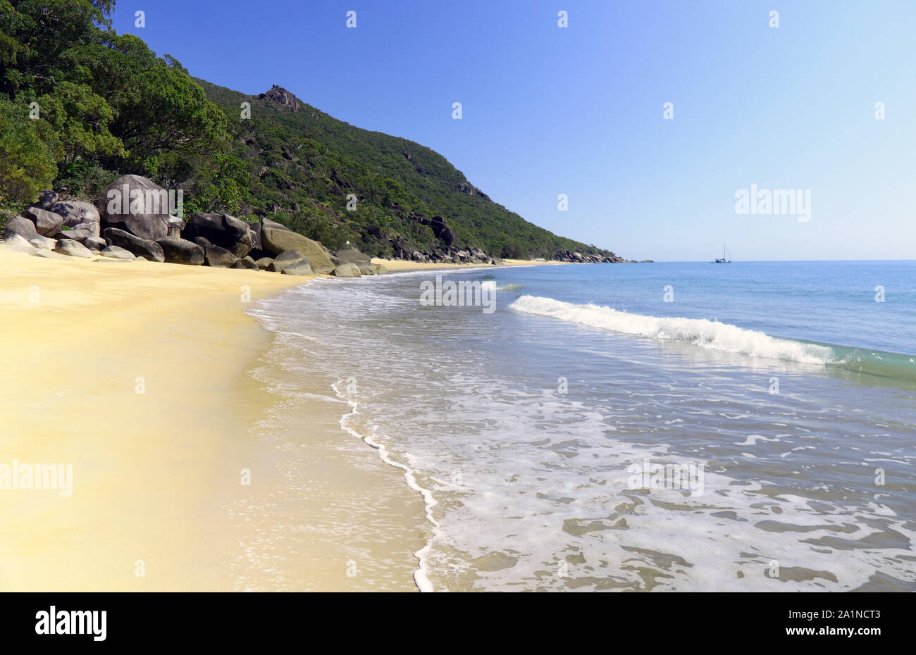 Turtle Bay, Cape Grafton, vicino a Cairns, Queensland, Australia. N. PR Foto Stock