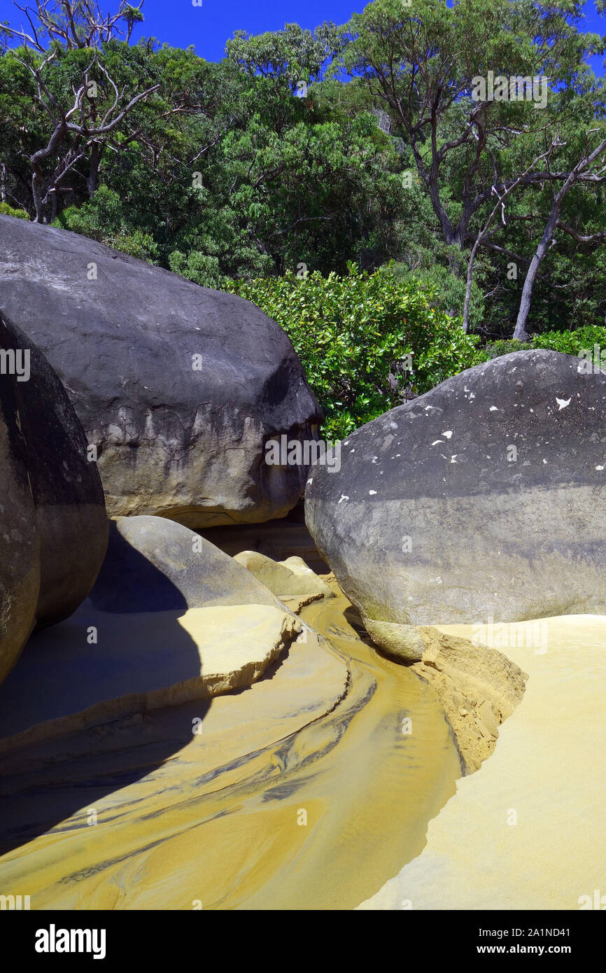 Acqua di fresco ruscello di fronte alla spiaggia di Turtle Bay, Cape Grafton, vicino a Cairns, Queensland, Australia Foto Stock