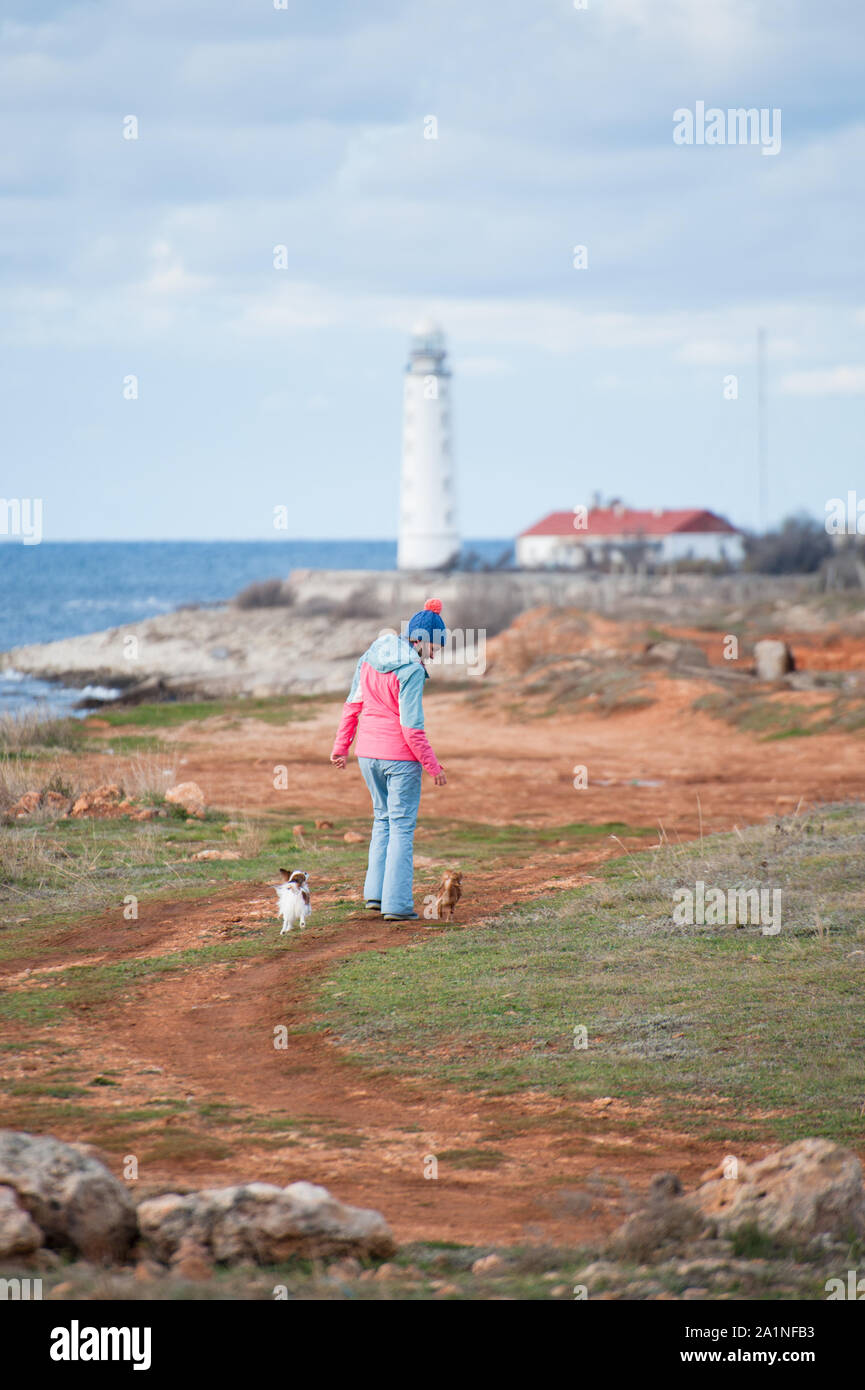 Attivo giovane donna in lana hat e tuta camminando lungo la costa dell'oceano con il faro con due cani chihuahua animali domestici in primavera Foto Stock