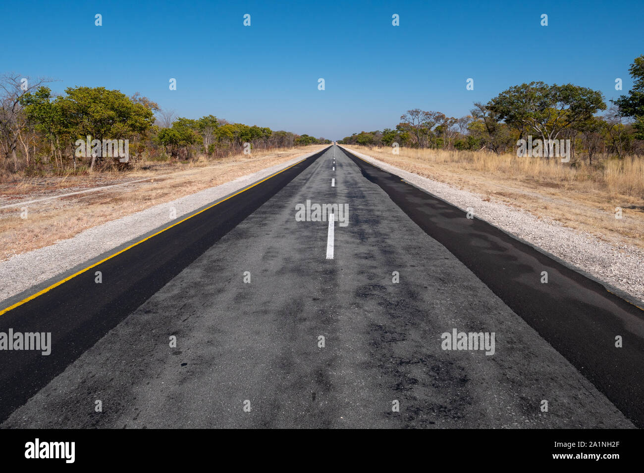 Lunga strada asfaltata B8 chiamato Golden autostrada lungo la Caprivi Strip, Namibia, Africa andando dritti all'orizzonte in un Solitario, parte remota degli Africani Foto Stock