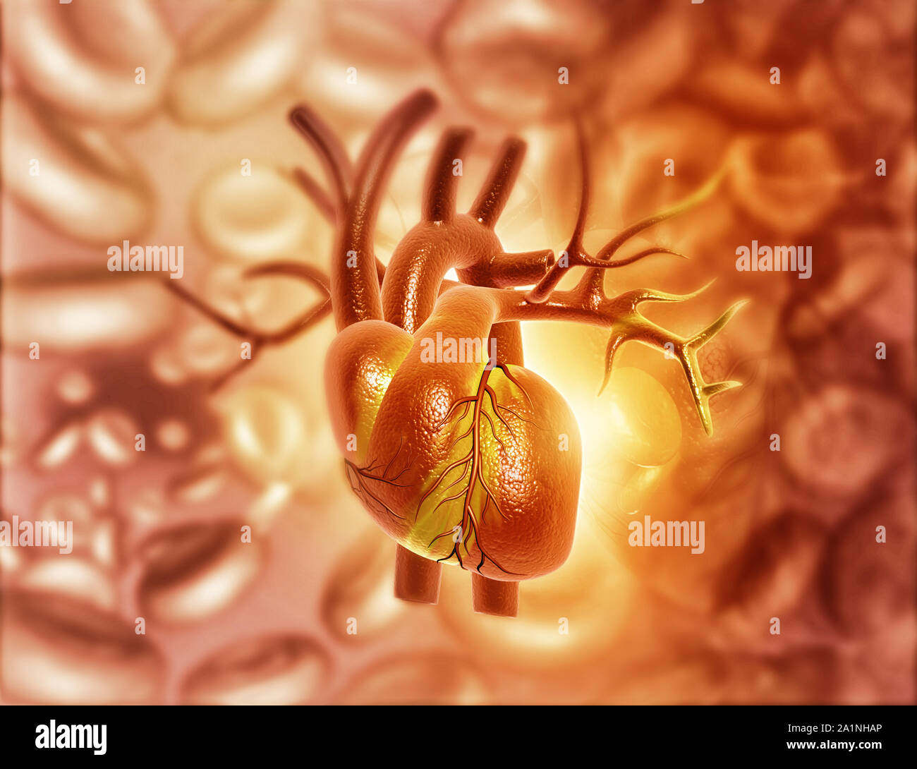 3d disegno astratto del medico di fondo con cuore umano anatomia Foto Stock