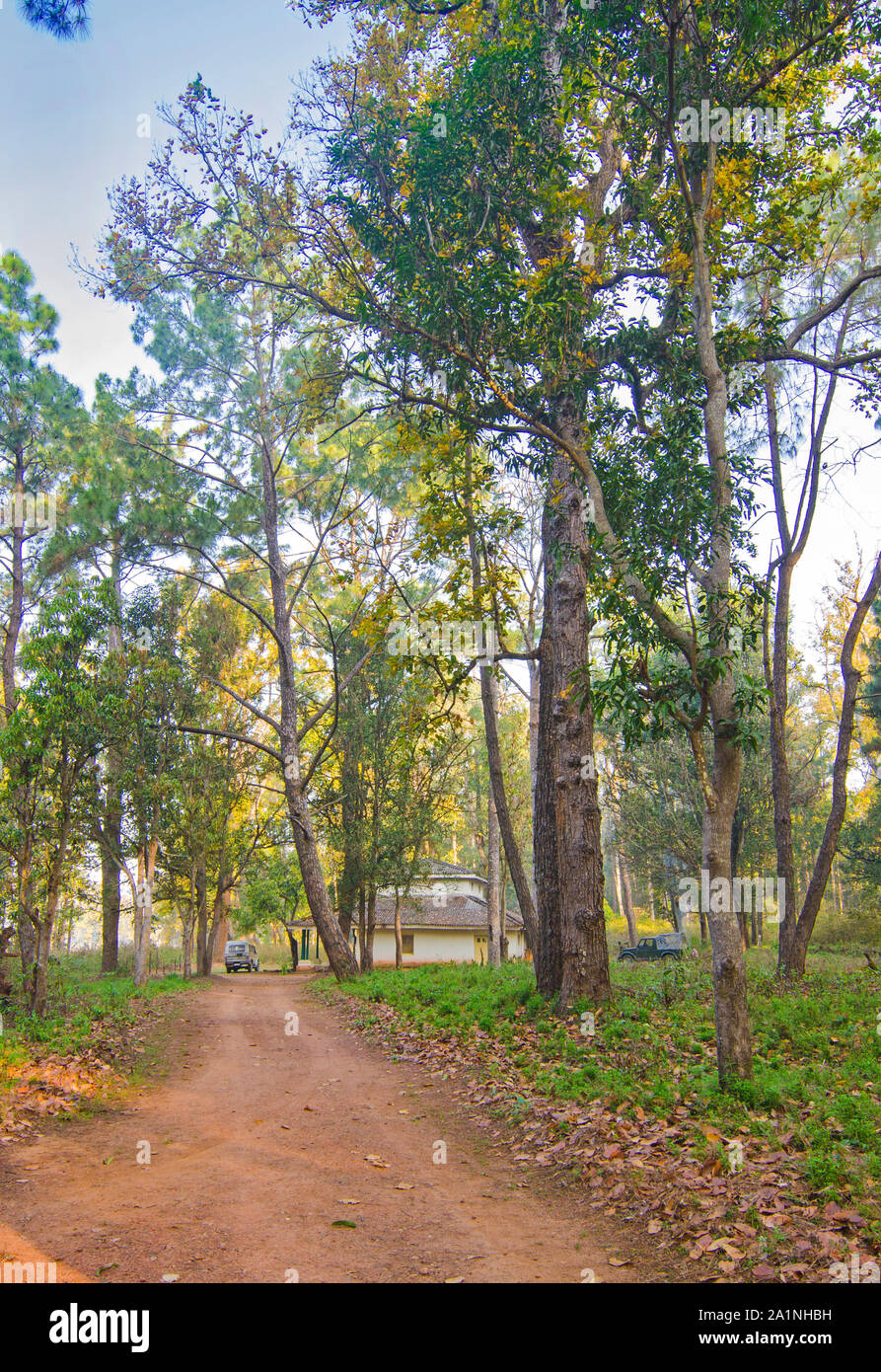Forest bunglow in Kanha Foto Stock