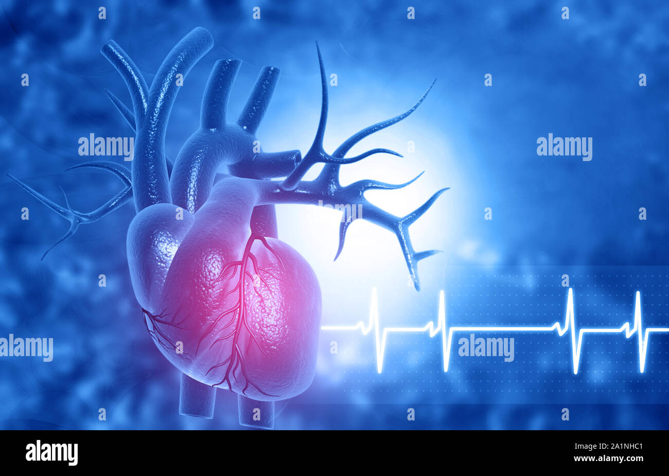 3d disegno astratto del medico di fondo con cuore umano anatomia Foto Stock