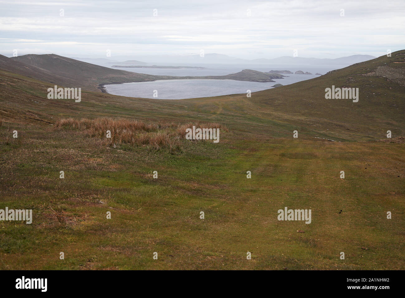 Vista Porto Pattison e Dyke baie dalla sella sull isola di carcassa con il Byron altezze su ovest al di là Falkland Isole Falkland Foto Stock