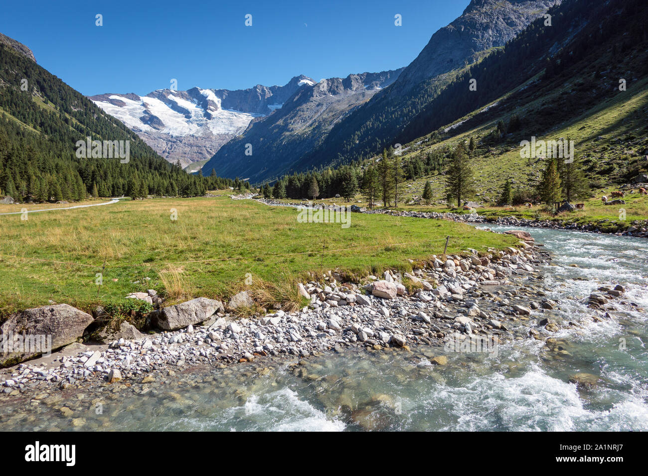 Krimmler Achild. Krimmler Ache torrente e sullo sfondo ghiacciaio Krimmler Kees. Parco nazionale di Hohe Tauern. Alpi austriache. Europa. Foto Stock