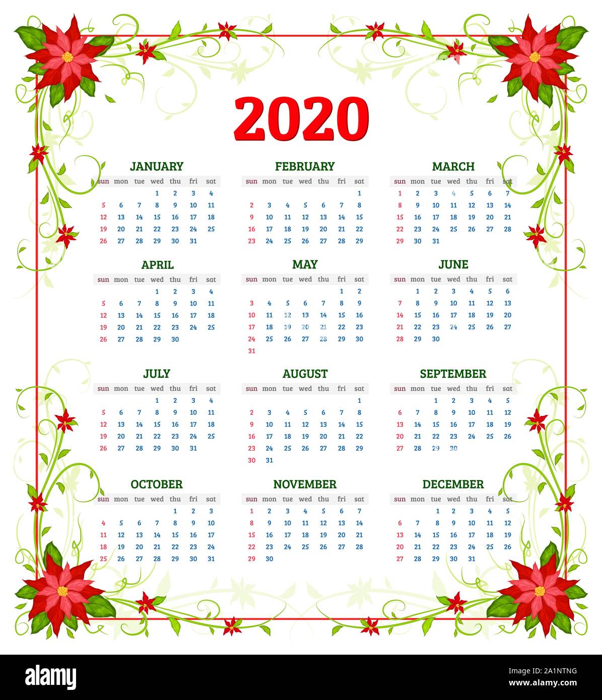 Calendario di vettore 2020 anno con fiori di poinsettia. Inizia settimana da domenica Illustrazione Vettoriale