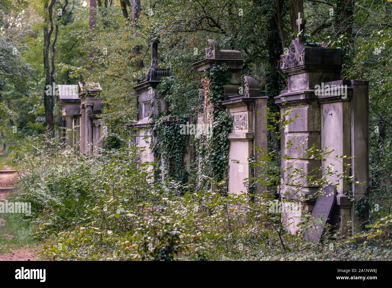 Weathered vecchie lapidi su Suedwest Kirchhof cimitero di Stahnsdorf, Germania nei boschi Foto Stock