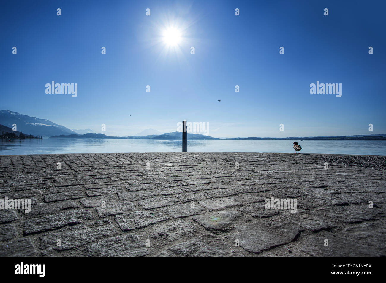 Giorno piecefull sul molo sul lago di Zug, Svizzera Foto Stock