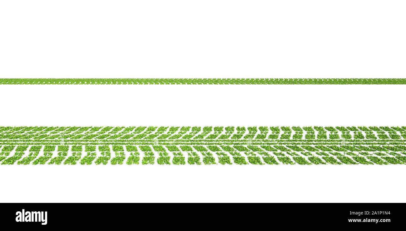 Concetto verde, foglie tracce di pneumatici su sfondo bianco Foto Stock