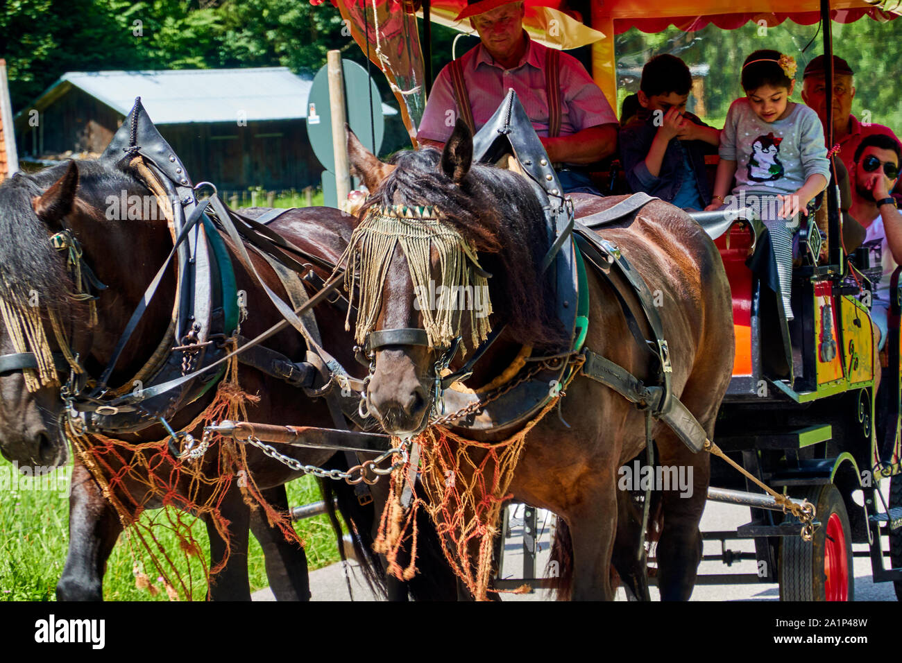 Garmisch-Parenkirchen, Germania, Agosto 9, 2018: decorate cavalli tirare un carrello con una famiglia araba in vacanza in Baviera Foto Stock