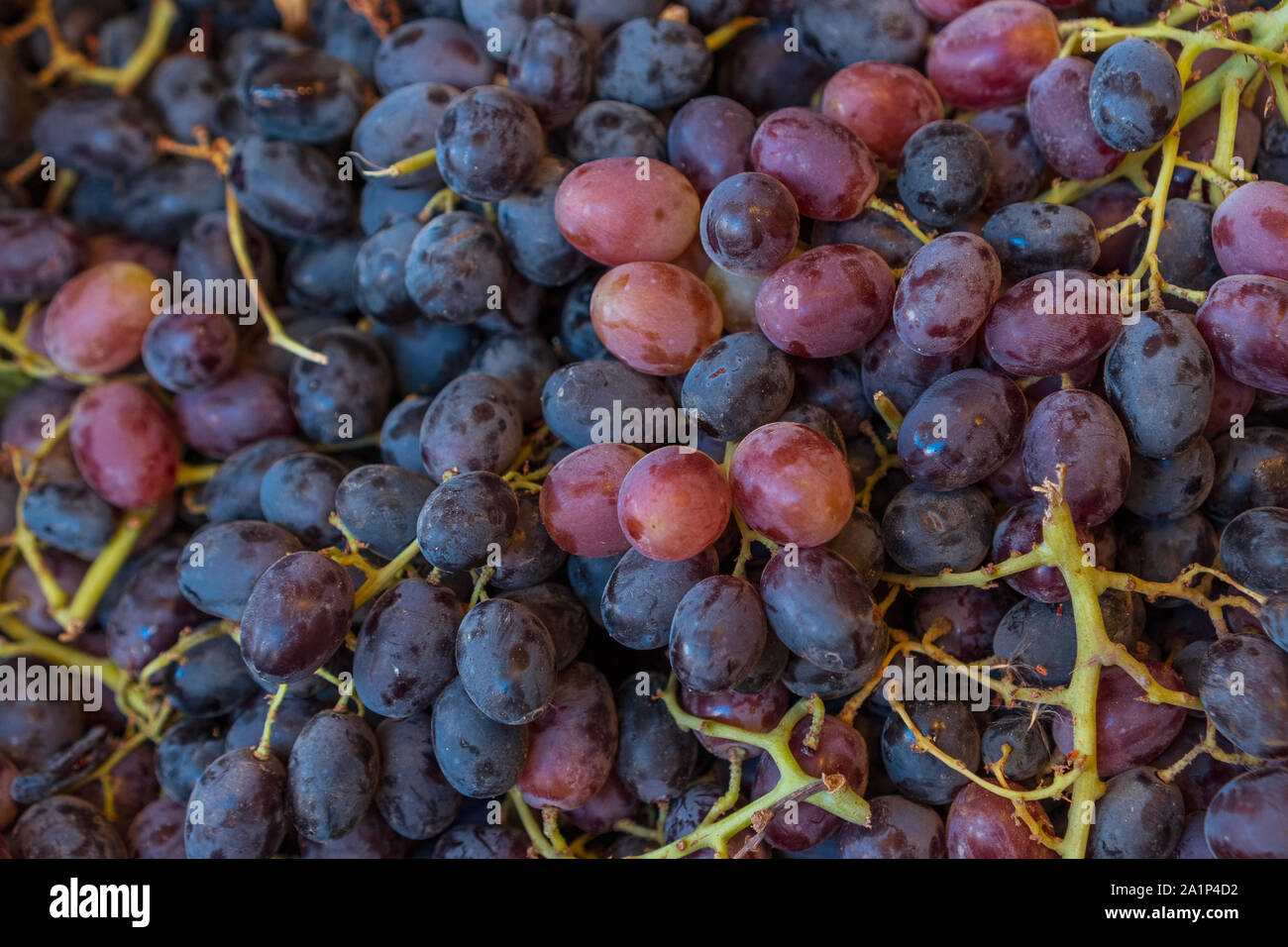 Le uve nel mercato locale Foto Stock