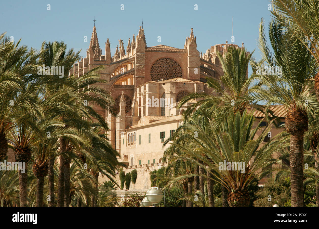 Cattedrale di St Mary (Basilica de Santa Maria), Palma Maiorca, isole Baleari, Spagna Foto Stock