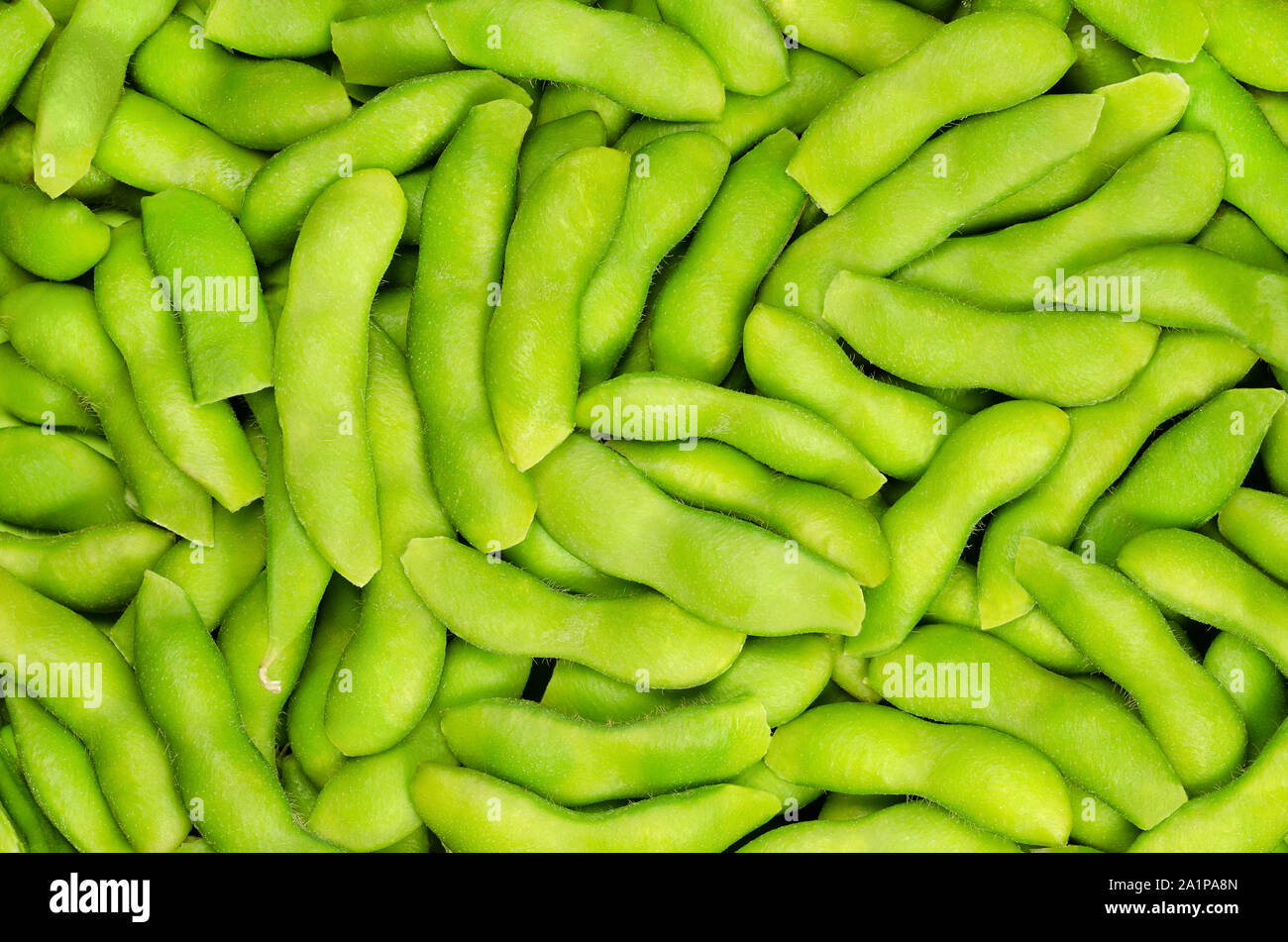 Edamame, fagioli di soia verde del pod, sfondo. Acerbi fave di soia, anche Maodou. Glycine max, un legume, commestibili dopo cottura e una ricca fonte di proteine. Foto Stock